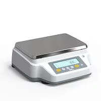 Лабораторные весы RBG8001