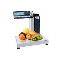 Печатающие весы-регистраторы MK-6.2-R2L10-1