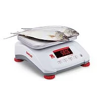 Настольные весы Ohaus V41XWE3T