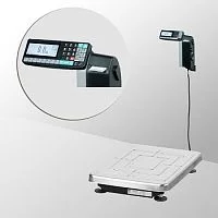 Напольные весы TB-S-200.2-RL1