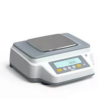 Лабораторные весы RBG8202